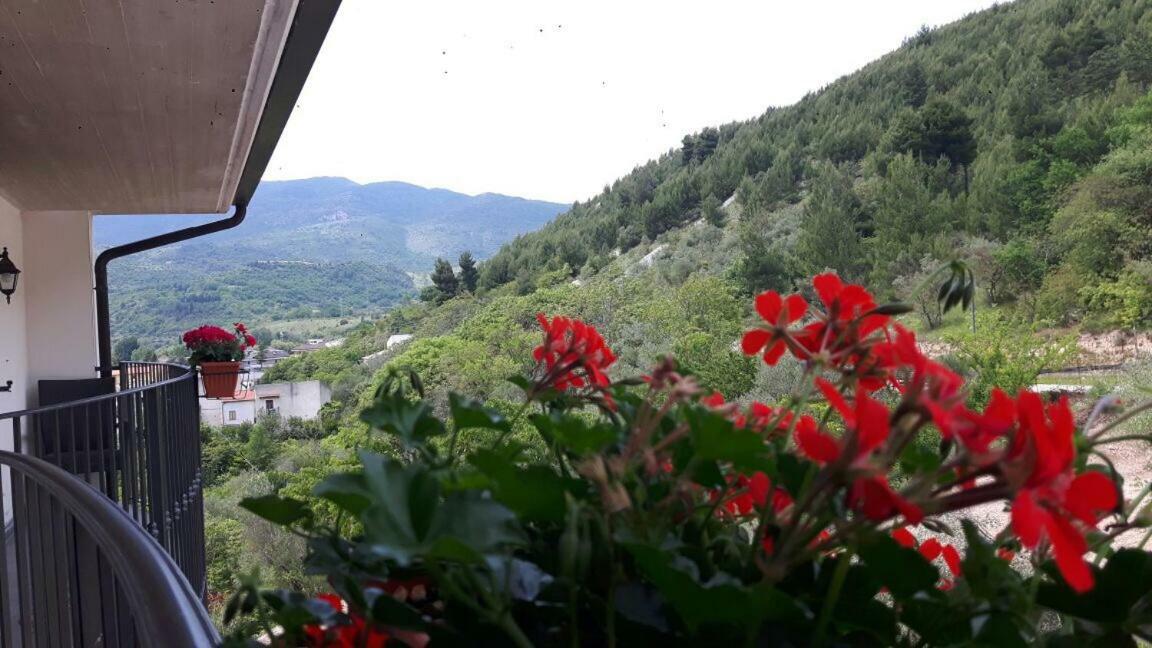 مبيت وإفطار بوبولي Bellavista المظهر الخارجي الصورة